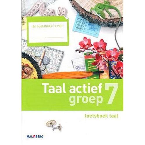 Taal Actief versie 4 toetsboek Taal groep 7 (per stuk), Boeken, Schoolboeken, Nieuw, Verzenden