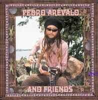 cd - Pedro Arevalo - And Friends, Cd's en Dvd's, Cd's | Rock, Zo goed als nieuw, Verzenden