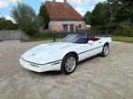 Chevrolet - Corvette - NO RESERVE - 1989