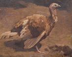 Cornelis Jan Mension (1882-1950) - Kalkoen, Antiek en Kunst
