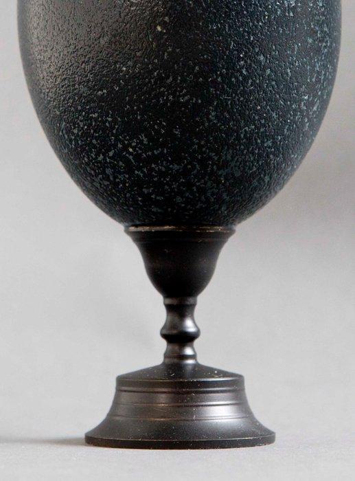 Emoe Ei - Dromaius novaehollandiae - 20 cm - 0 cm - 0 cm, Verzamelen, Dierenverzamelingen
