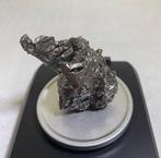 Campo del Cielo IJzer meteoriet - 81.1 g