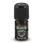 Beauty & Care Dennen etherische olie 100 ml.  new, Ophalen of Verzenden, Nieuw, Aroma