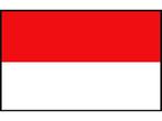 Gekleurde vlag, Watersport en Boten, Bootonderdelen, Ophalen of Verzenden, Nieuw, Zeilboot of Motorboot