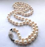 Zonder Minimumprijs - Halsketting 14 kt witgoud -, Nieuw