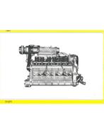 1946 - 1985 FERRARI ENGINE CHARACTERISTICS BOEK ITALIAANS, Nieuw, Ferrari, Author