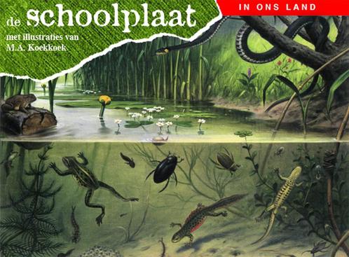 De schoolplaat / In ons land 9789075531343, Boeken, Overige Boeken, Zo goed als nieuw, Verzenden