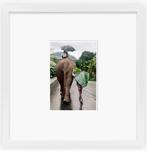 Steve McCurry (1950) - Man walks behind an elephant carrying