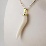 Koraal - Zilver - Hanger - handgebeiteld, Verzamelen, Mineralen en Fossielen