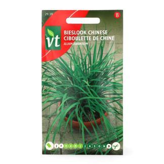 Bieslookzaad | VT (Chinese), Tuin en Terras, Bloembollen en Zaden, Verzenden