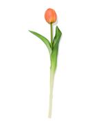 HEMA Kunstbloem 34cm tulp perzik 3+2 gratis, Verzenden