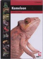 Boek Over Dieren - Kameleon, Zo goed als nieuw, Verzenden