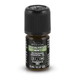 Beauty & Care Eucalyptus Munt mix 100 ml.  new, Ophalen of Verzenden, Nieuw, Aroma