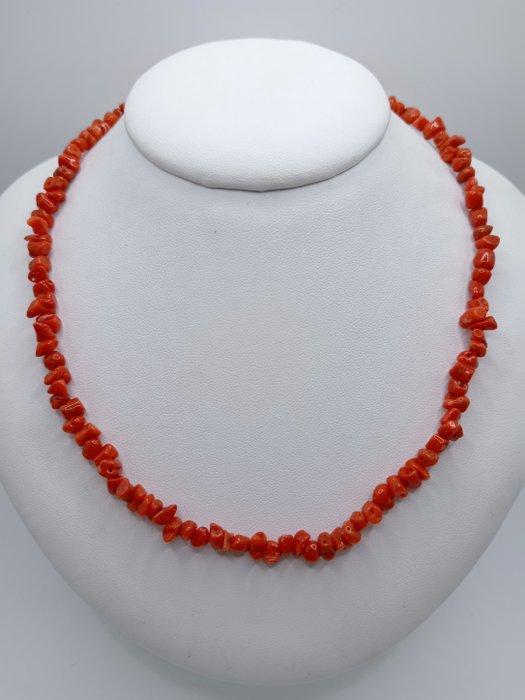 Bloedkoraal Koraal - Corallium rubrum (Zonder Minimumprijs), Antiek en Kunst, Curiosa en Brocante