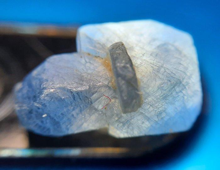 100,7 ct - Onbehandelde blauwe saffier - Ruw- 20.1 g, Verzamelen, Mineralen en Fossielen