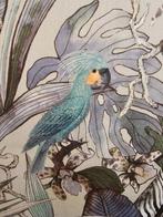 Katoenen satijtharen met Boheemse papegaaien - 300x300cm -
