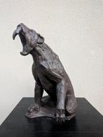 LO Art Studio - Istinti