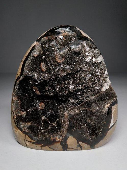 Drakensteen - Septaria-eifragment Vrije vorm - Hoogte: 16.2, Verzamelen, Mineralen en Fossielen