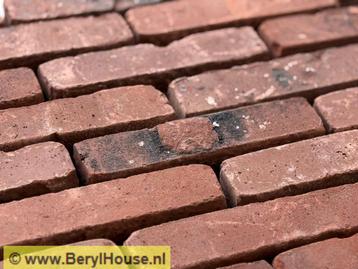 € 0,49 p/st. Gevelsteen Wf rood-bruin genuanceerd getrommeld beschikbaar voor biedingen