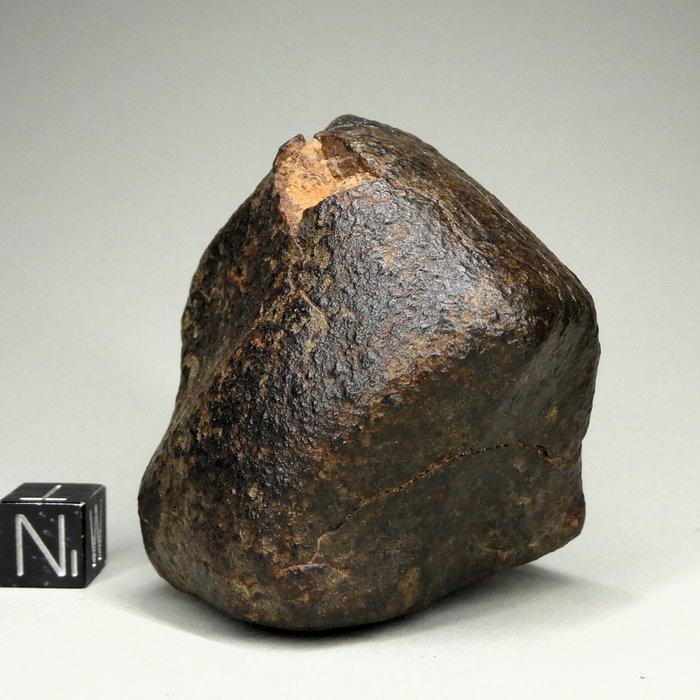 NWA onclassificeerd Sahara Steen Meteoriet - 182 g, Verzamelen, Mineralen en Fossielen