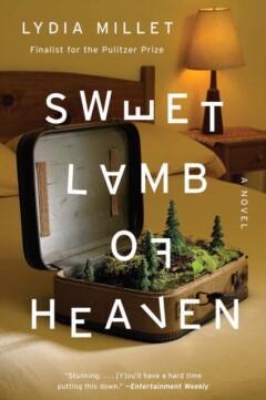 Sweet Lamb of Heaven - A Novel 9780393354188 Lydia Millet, Boeken, Taal | Engels, Gelezen, Verzenden