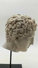sculptuur, Testa di Eros - 33 cm - marmerstof, Antiek en Kunst