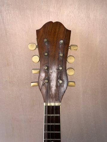 Ditson Victory - Ditson Victory - - Banjo mandoline - beschikbaar voor biedingen