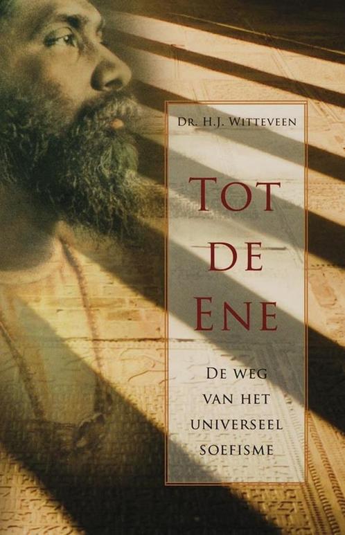 Tot de Ene 9789020284577 H.J. Witteveen, Boeken, Esoterie en Spiritualiteit, Zo goed als nieuw, Verzenden