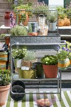 2dekans | Mica Decorations Ken Kweektafel - L77 x B38 x H119, Tuin en Terras, Hand-tuingereedschap, Ophalen of Verzenden, Zo goed als nieuw