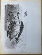 Yves Ganne (1931-2019) - Oiseaux - Becasse - gibier (Vendu, Antiek en Kunst