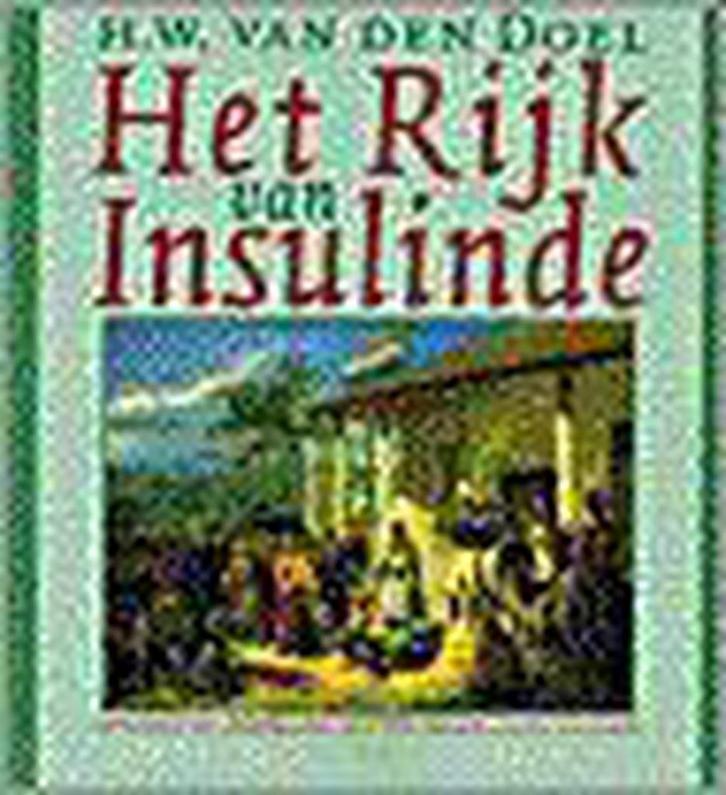 RIJK VAN INSULINDE 9789053333747 H.W. van den Doel, Boeken, Geschiedenis | Wereld, Gelezen, Verzenden