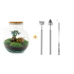 DIY terrarium - Teddy bonsai -  26,5 cm - Rake + Shovel + T, Verzenden