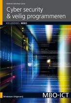 Cyber security & veilig programmeren / mbo / MBO ICT, Boeken, Verzenden, Zo goed als nieuw, Gabriel Sánchez Cano