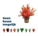 Zolux Ornament Pastic Plant Op Stenen Vrolijk Assorti, Dieren en Toebehoren, Vissen | Aquaria en Toebehoren, Verzenden, Nieuw