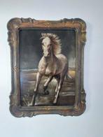 Aime Van Belleghem (1922-1996) - Cheval galopant au bord de