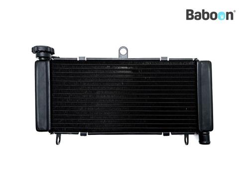 Radiateur Honda CB 600 F Hornet 2000-2002 (CB600F CB600S, Motoren, Onderdelen | Honda, Gebruikt, Verzenden