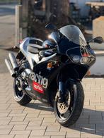 Aprilia - RS250 - 250 cc - 1998, Motoren