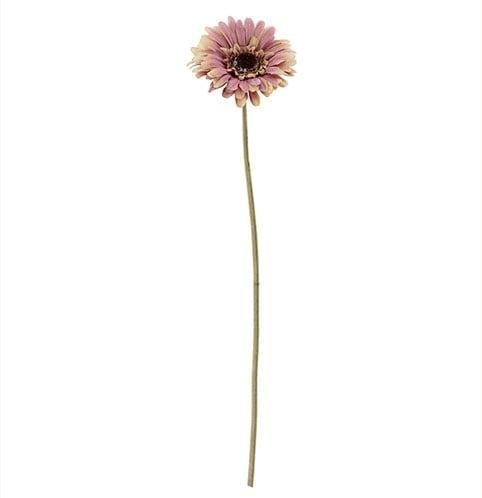 Gerbera 53 cm OudRoze Zijden bloemen / st, Huis en Inrichting, Woonaccessoires | Kunstplanten en Kunstbloemen, Nieuw, Ophalen of Verzenden