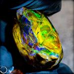 Zeer zeldzame natuurlijke AAA+++ Crystal Opal onbehandeld 78, Verzamelen, Mineralen en Fossielen
