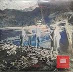 lp nieuw - Echo &amp; The Bunnymen - Silver (Tidal Wave), Verzenden, Zo goed als nieuw