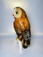 Karl Ens, Volkstedt - Figuur - Owl - Porselein