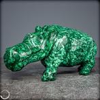 Zeer decoratieve natuurlijke malachiet Hippo- 982.76 g, Verzamelen