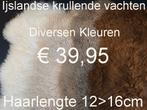 IJSLANDSE KRULLEND Schapenvacht langharige vachten € 39,95, Huis en Inrichting, Ophalen of Verzenden, Nieuw