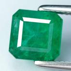 Zonder Minimumprijs Smaragd - 3.62 ct - nternational Colored, Sieraden, Tassen en Uiterlijk, Edelstenen, Nieuw