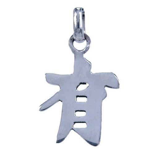 Zilveren Chinese horoscoop Tweelingen - wijsheid kettingh..., Sieraden, Tassen en Uiterlijk, Kettinghangers, Verzenden