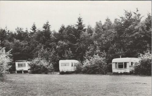 ERMELO - Camping en Bungalowpark Het Vossehol, Verzamelen, Ansichtkaarten | Nederland, Verzenden