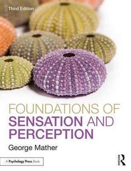 Foundations of Sensation and Perception | 9781848723443, Boeken, Studieboeken en Cursussen, Verzenden