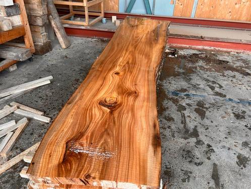 11X Boomstambladen, Iep, complete partij 480,- REF 776, Doe-het-zelf en Verbouw, Hout en Planken, Overige houtsoorten, 250 tot 300 cm
