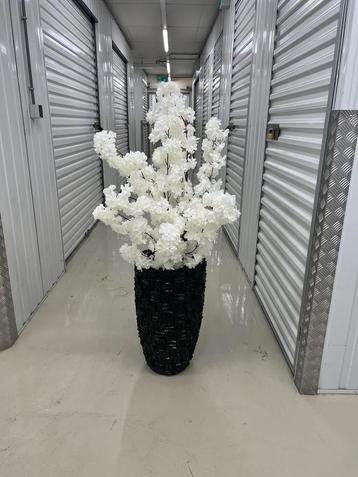 Schelpenvaas in verschillende kleuren,schelp vaas,schelpen beschikbaar voor biedingen