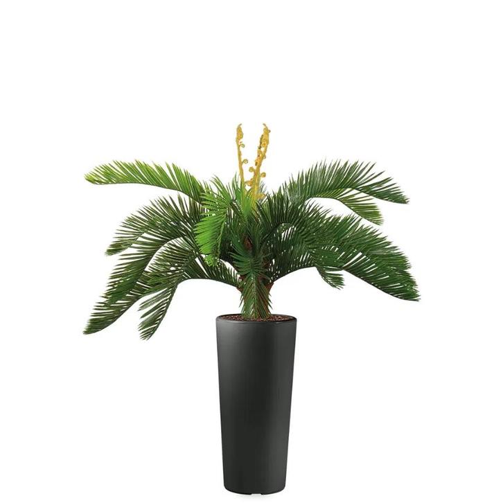 Cycas kunstplant, H105cm, Huis en Inrichting, Kamerplanten, Palm, 100 tot 150 cm, Ophalen of Verzenden